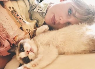 Check Out Taylor Swift’s Cute Kitty!