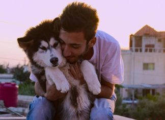 Netflix Renews “Dogs” Docuseries