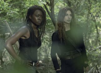 “The Walking Dead” is Getting Another Season!